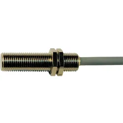 Steute Positionsschalter RC 20 1S -1m