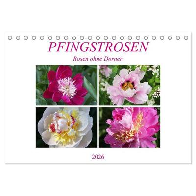 PFINGSTROSEN Rosen ohne Dornen (Tischkalender 2026 DIN A5 quer), CALVENDO Monatskalender