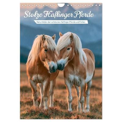 Stolze Haflinger Pferde (Wandkalender 2027 DIN A4 hoch), CALVENDO Monatskalender