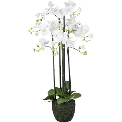 Kunstpflanze Orchideen Grün/Weiß ca. 93cm