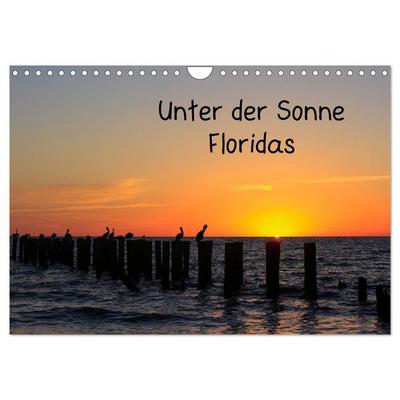 Unter der Sonne Floridas (Wandkalender 2026 DIN A4 quer), CALVENDO Monatskalender