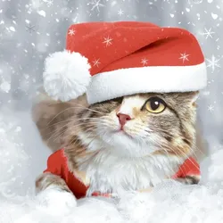 240x PAPER + DESIGN Tissue-Serviette 33 x 33 cm Kitten Christmas 3-lagig