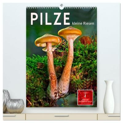 Pilze - kleine Riesen (hochwertiger Premium Wandkalender 2027 DIN A2 hoch), Kunstdruck in Hochglanz