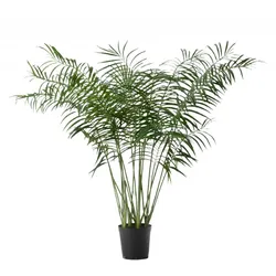 Palme Areca 200 cm - Grün Plastik Lou De Castellane 0.01x0.01 cm