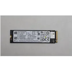 Lenovo Ssd Asm (256 GB, M.2 2280), SSD