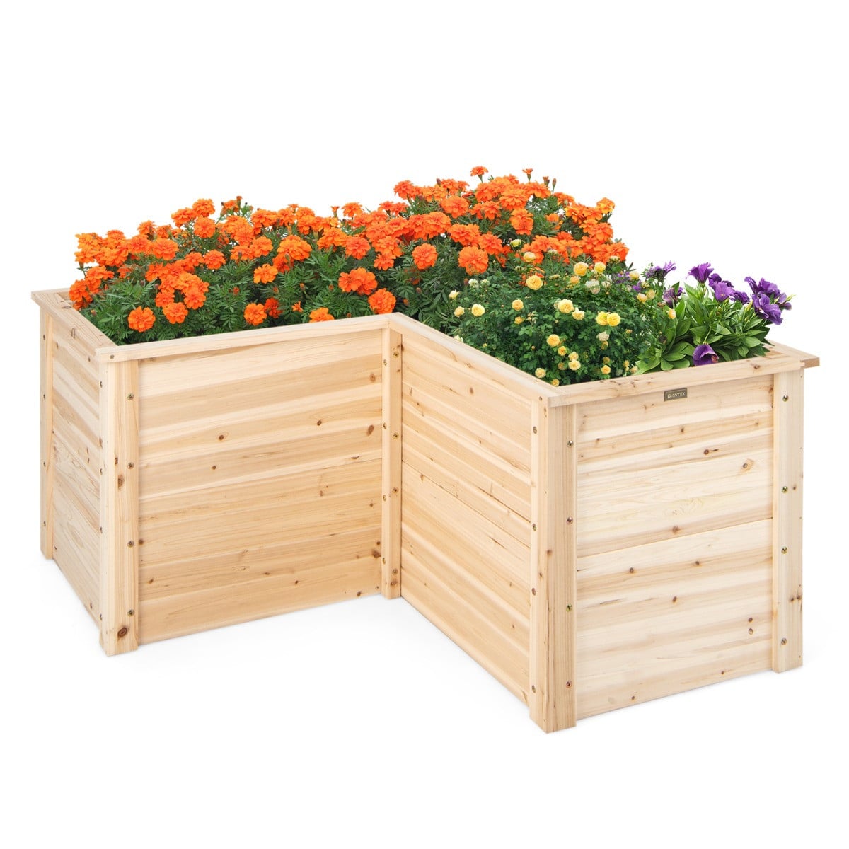 Costway Vierkante Moestuinbak van Dennenhout met Open L-Vormige Basis Verhoogde Plantenbak voor Groenten en Fruit voor Tuin en Binnenplaats