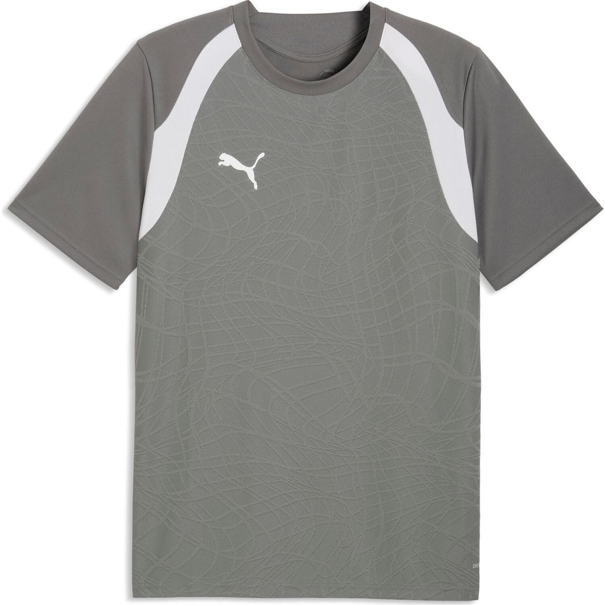 Puma Teamcup Training Shorts flat medium gray-puma silver-flat light gray (13) 3XL 659171-13-3XL