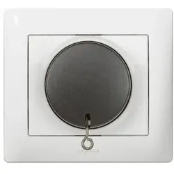 Einsatz Zugtaster Wechsler 1-polig 10A/250V~