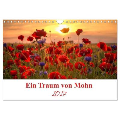 Ein Traum von Mohn (Wandkalender 2027 DIN A4 quer), CALVENDO Monatskalender