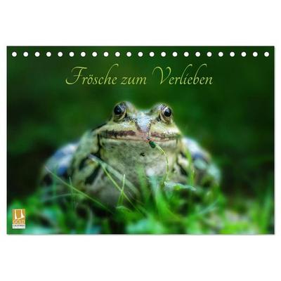 Frösche zum Verlieben (Tischkalender 2027 DIN A5 quer), CALVENDO Monatskalender