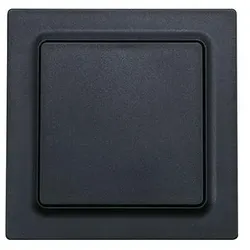 Eltako Wipptaster WT55E-am