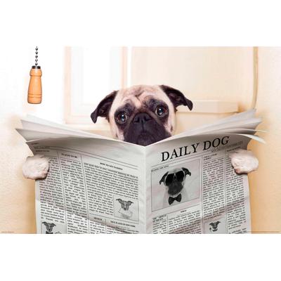 Fototapete PAPERMOON "Newspaper Dog", bunt, B:4m L:2,6m, Vlies, Tapeten