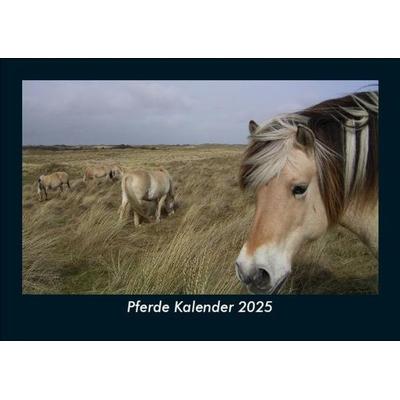 Pferde Kalender 2025 Fotokalender DIN A5