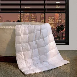 BettwarenShop Daunen Sommerdecke Canada leicht, Füllung: 100% Daunen 200x200 cm