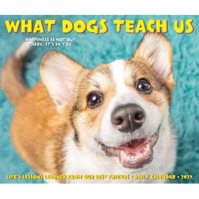 What Dogs Teach Us 2027 5.4 X 6.2 Box Calendar