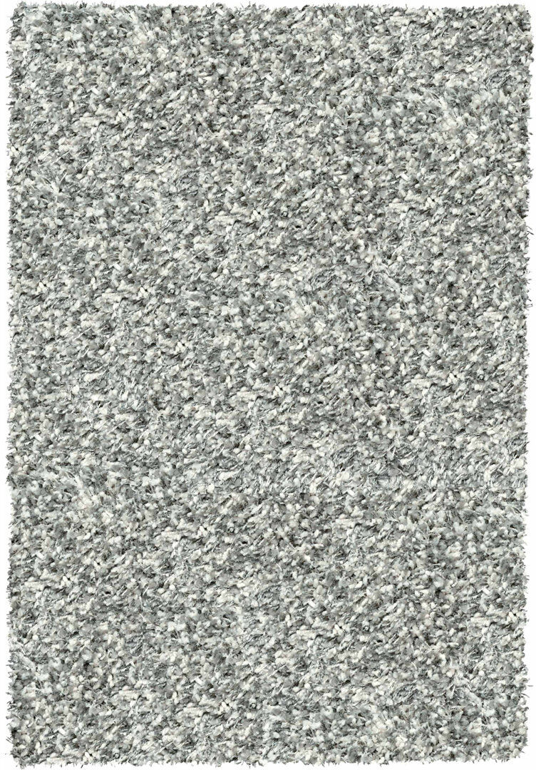 Zipcode Design Adamell Shaggy Area Rug Gray Rectangle 200 x 250cm
