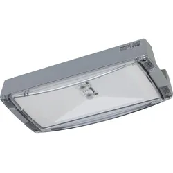 Ceag Notlichtsysteme Sicherheitsleuchte AtlanticLEDLTRHBCG-S