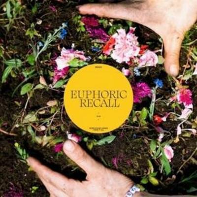 Braids: Euphoric Recall - Braids, CD