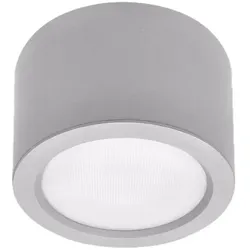 Frisch-Licht Outdoor LED Aufbau-Downlight, IP65 IK08, rund, Ø 22cm, DALI dimmbar, silber, 21W 4000K 2600lm FL-ADL2265MP.2684DA