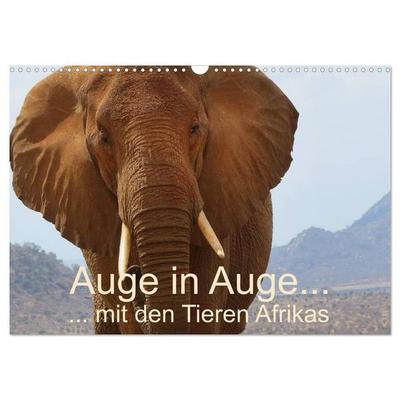 Auge in Auge mit den Tieren Afrikas (Wandkalender 2027 DIN A3 quer), CALVENDO Monatskalender