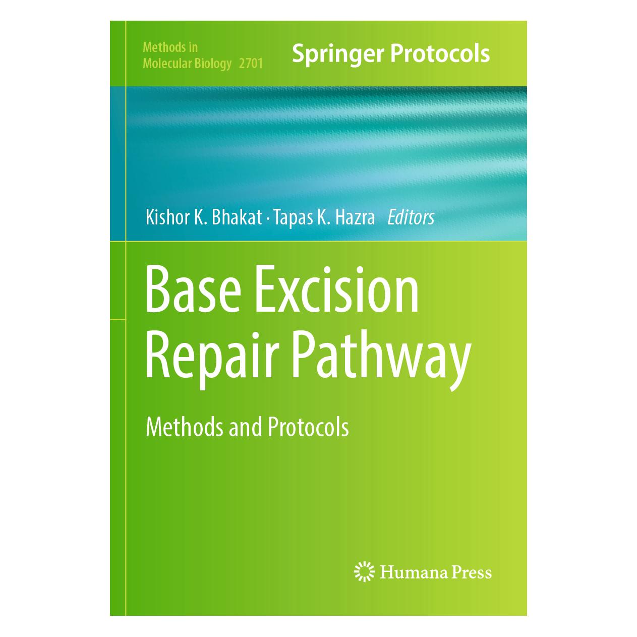 Springer Base Excision Repair Pathway (Englisch, Softcover, Kishor K. Bhakat, Tapas K. Hazra) (57099294)