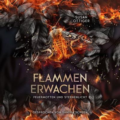 Flammenerwachen - Susan Ottiger, Audio, 4071498203484