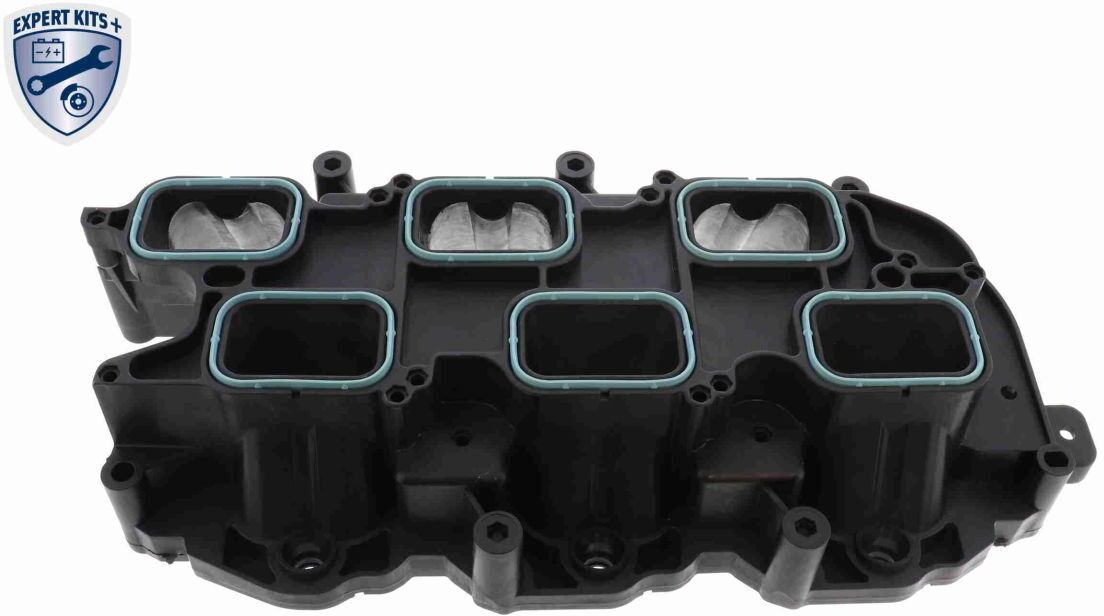 Vaico Modulo del tubo di aspirazione V33-0558