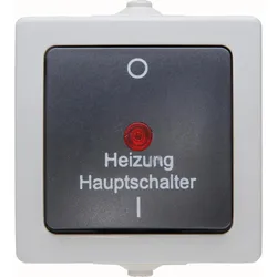 Kopp 565356002 NAUTIC - Heizungshauptschalter, Farbe: grau