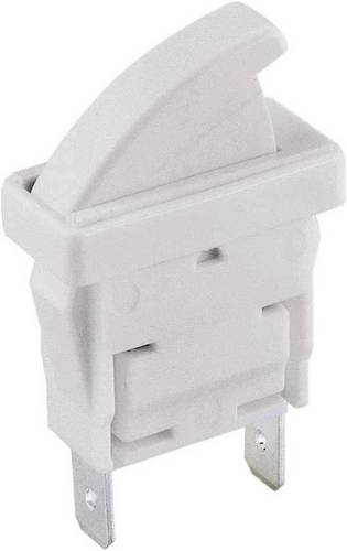 Arcolectric (Bulgin Ltd.) C 3005 CB AAA C 3005 CB AAA Drucktaster, Türschalter 250 V/AC 0.1A 1 x Ein/(Aus) tastend 1St.