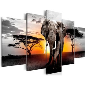 Artgeist Wandbild Elefant & Sonne, Leinwand, Querformat, bestehend aus 5 Bildern