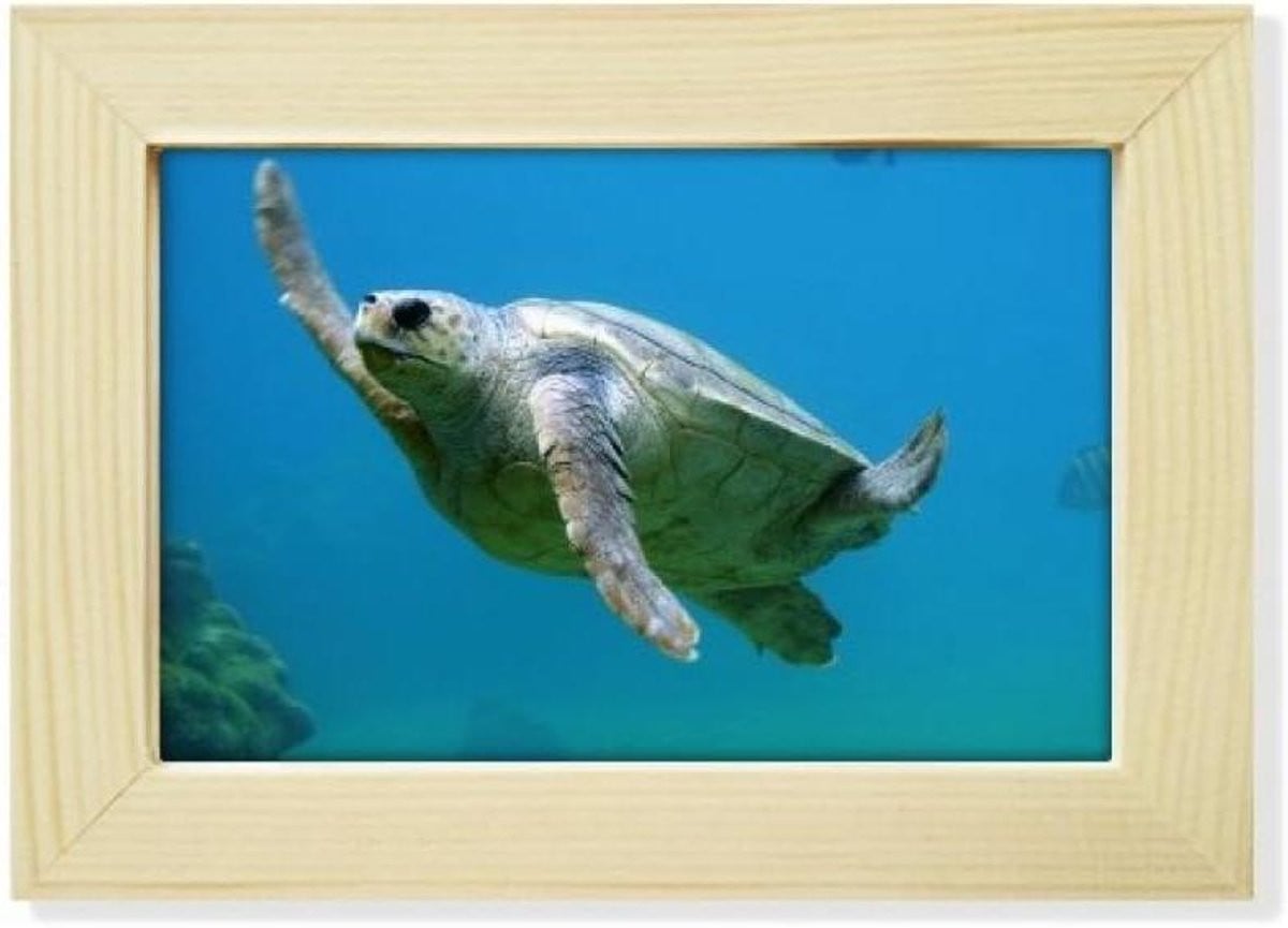 Houten Fotolijst Multicolor met Acryl Voorzijde - 5x7 Inch
