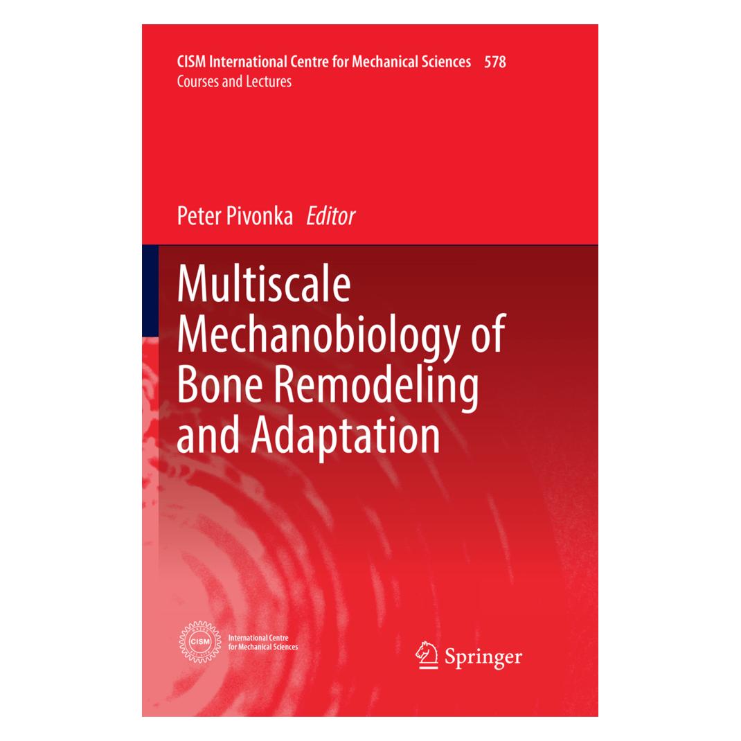 Springer Multiscale Mechanobiology of Bone Remodeling and Adaptation (Englisch, Softcover, Peter Pivonka) (56052793)