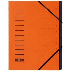 PAGNA Ordnungsmappe DIN A4 12-Fach  orange