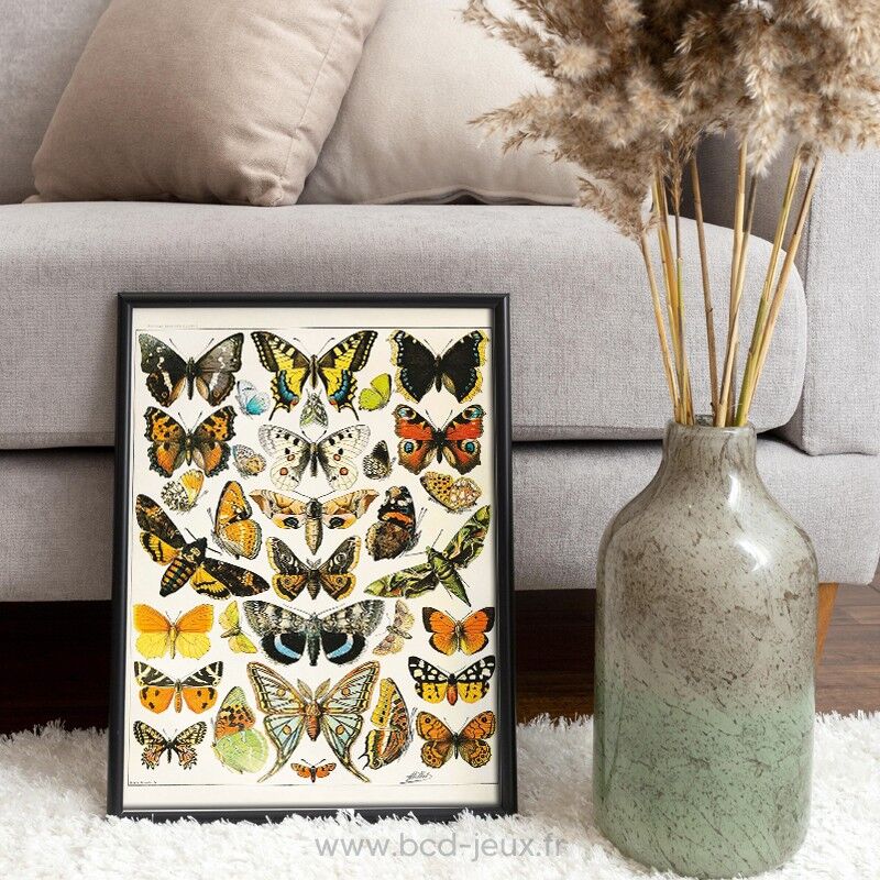 Puzzle 1000 pcs Papillons, Adolphe Millot - Piatnik