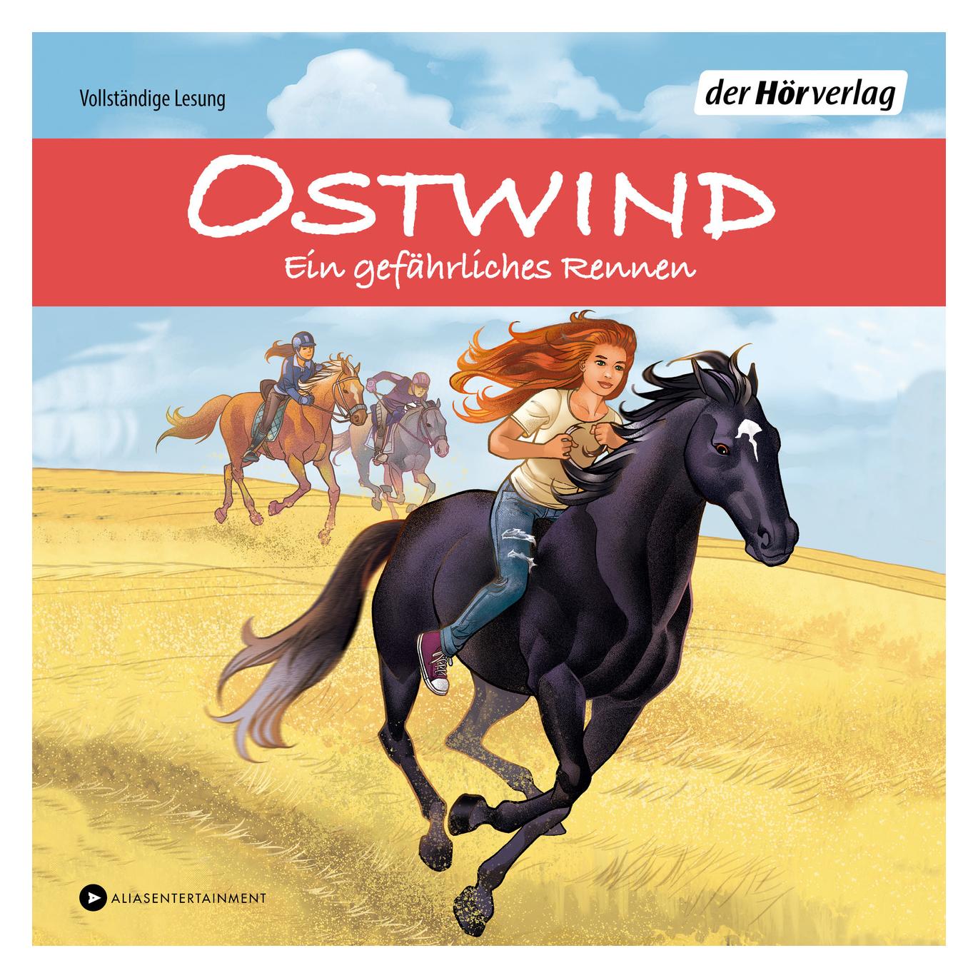 DHV OSTWIND - Ein gefährliches Rennen (Rosa Schwarz, Deutsch) (8445-4842-6)