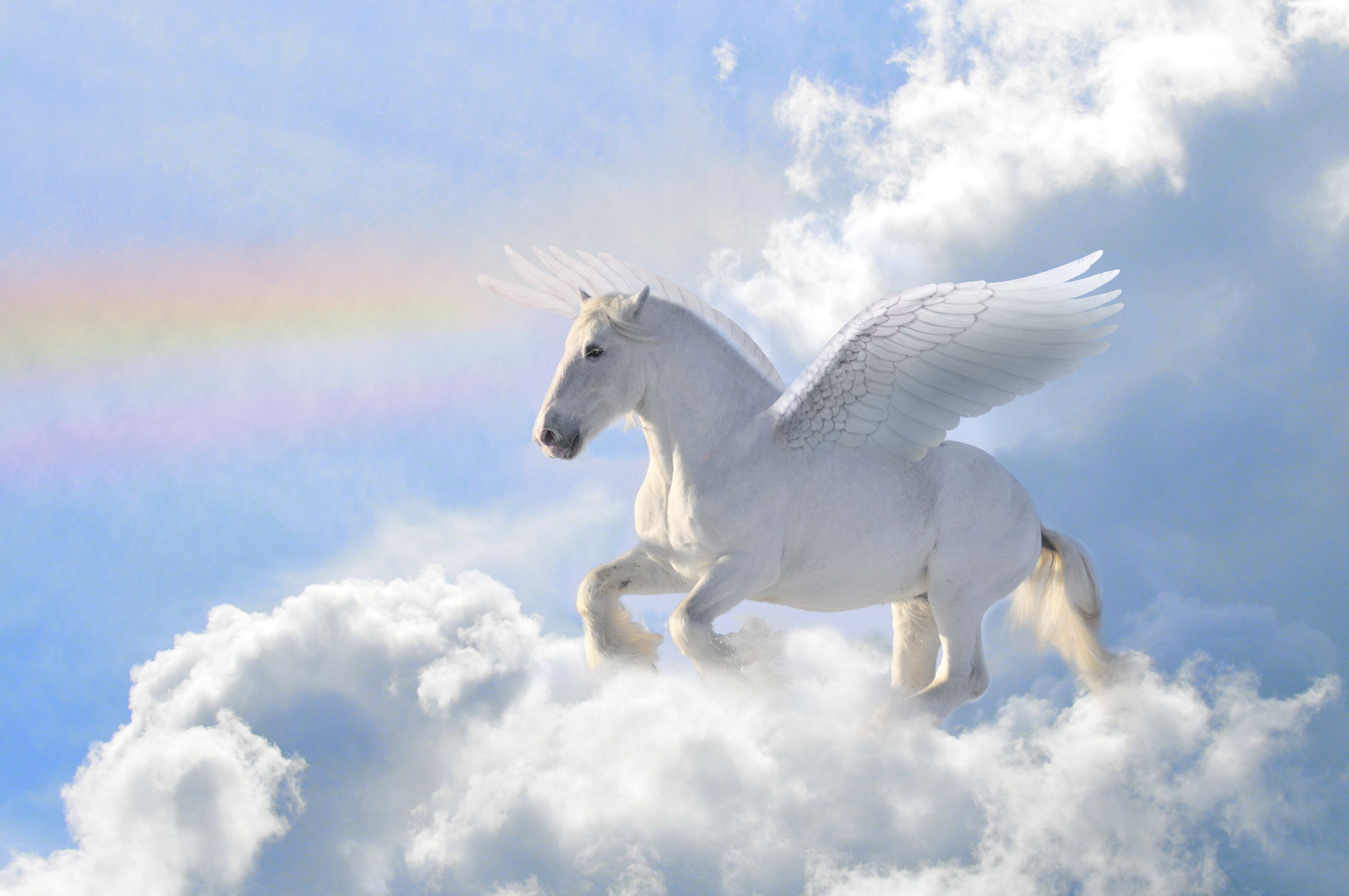 Fototapete PAPERMOON "Pegasus in the Clouds", bunt, B:3m L:2,23m, Vlies, Tapeten, Fototapete