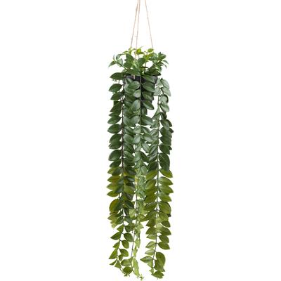Kunstranke CREATIV GREEN "Columneahängepflanze", grün, H:85cm, Kunststoff, Kunstpflanzen, mit zahlreichen Blättern