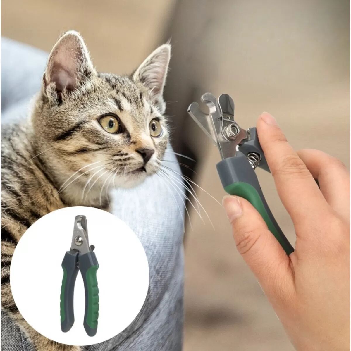INF Mittelgroße olivgrüne Tiernagelknipser - Sichere Edelstahl-Krallenschneider für Hunde & Katzen