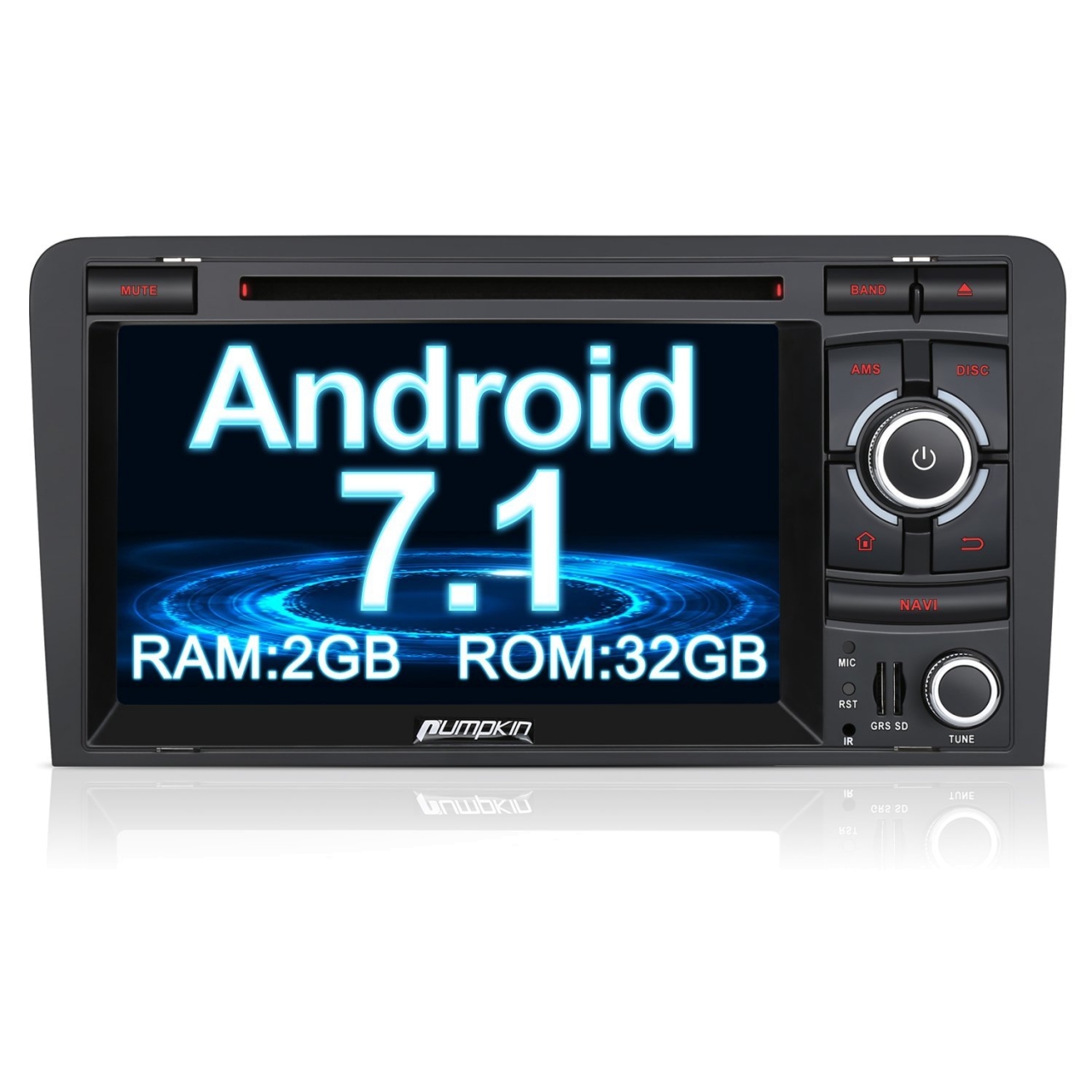 Pumpkin 12301B