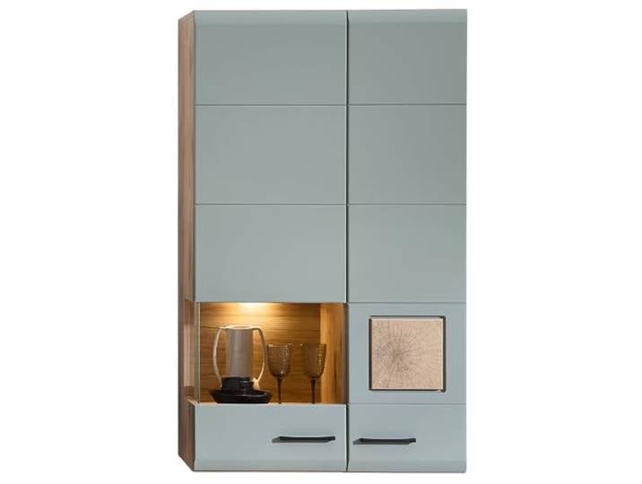 Lomadox Hängevitrine Wandvitrine mit Beleuchtung, Eiche mit Schilfgrün