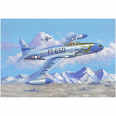 Hobby Boss - F-80C Shooting Star fighter - 1:48 - 110 Teile 309722