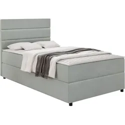 BOXBETT Elen - H3