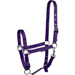 Harrys Horse Halfter Basic 3 x verstellbar violett, Größe: Full
