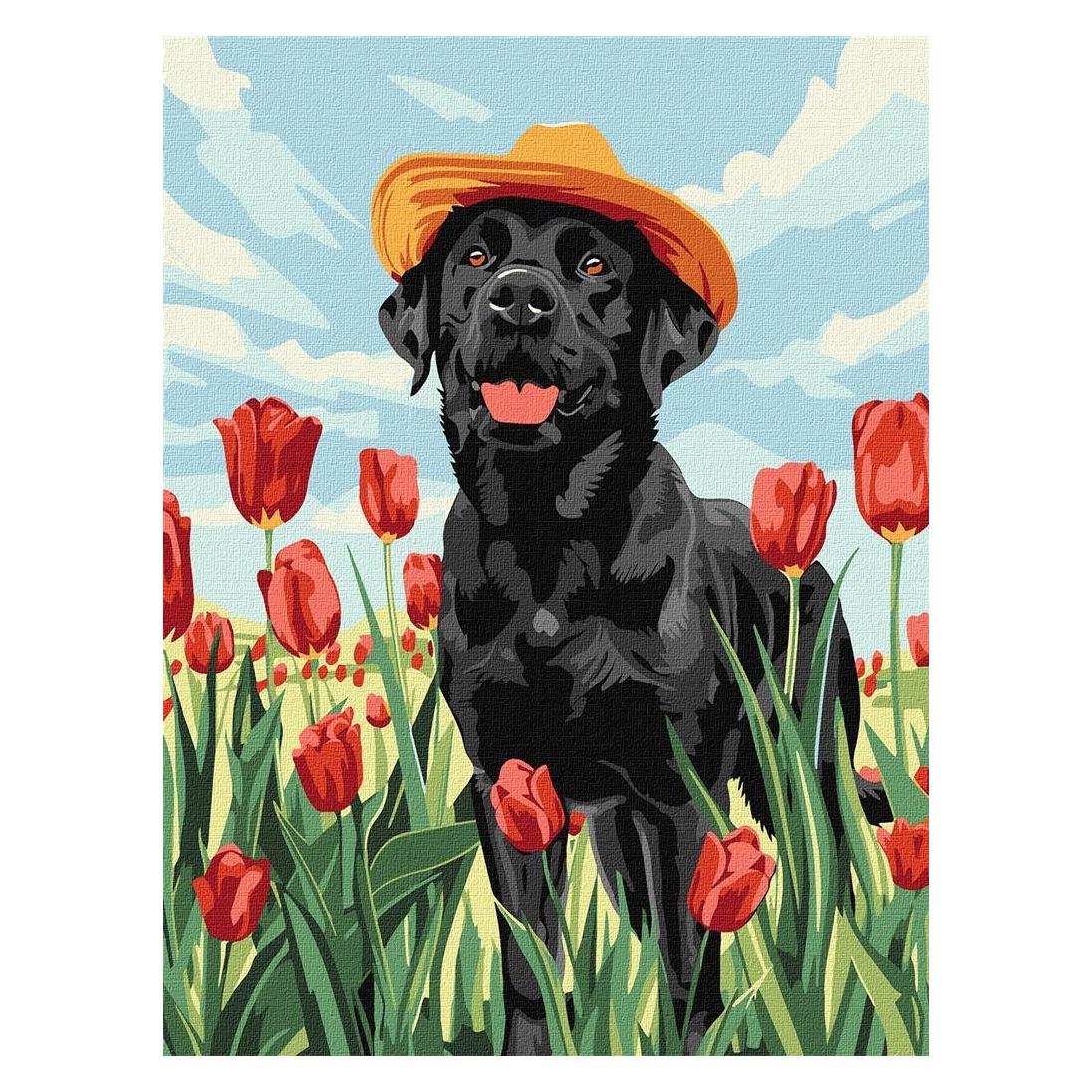 Norimpex Malen nach Zahlen - Entzückender Labrador (56603455)