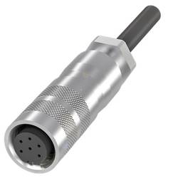 BALLUFF Steckverbinder/Verbindungskabel - BCC0C5E, 1 St.