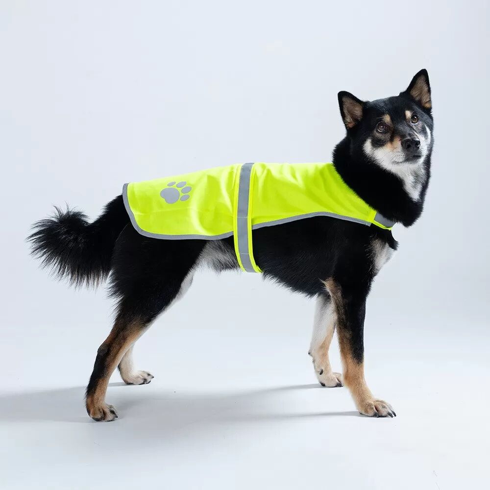 INF Reflektierende Hunde Sicherheitsweste - Gut sichtbare Anti-Verlust-Weste für Hunde beim Nachtspaziergang M Grün