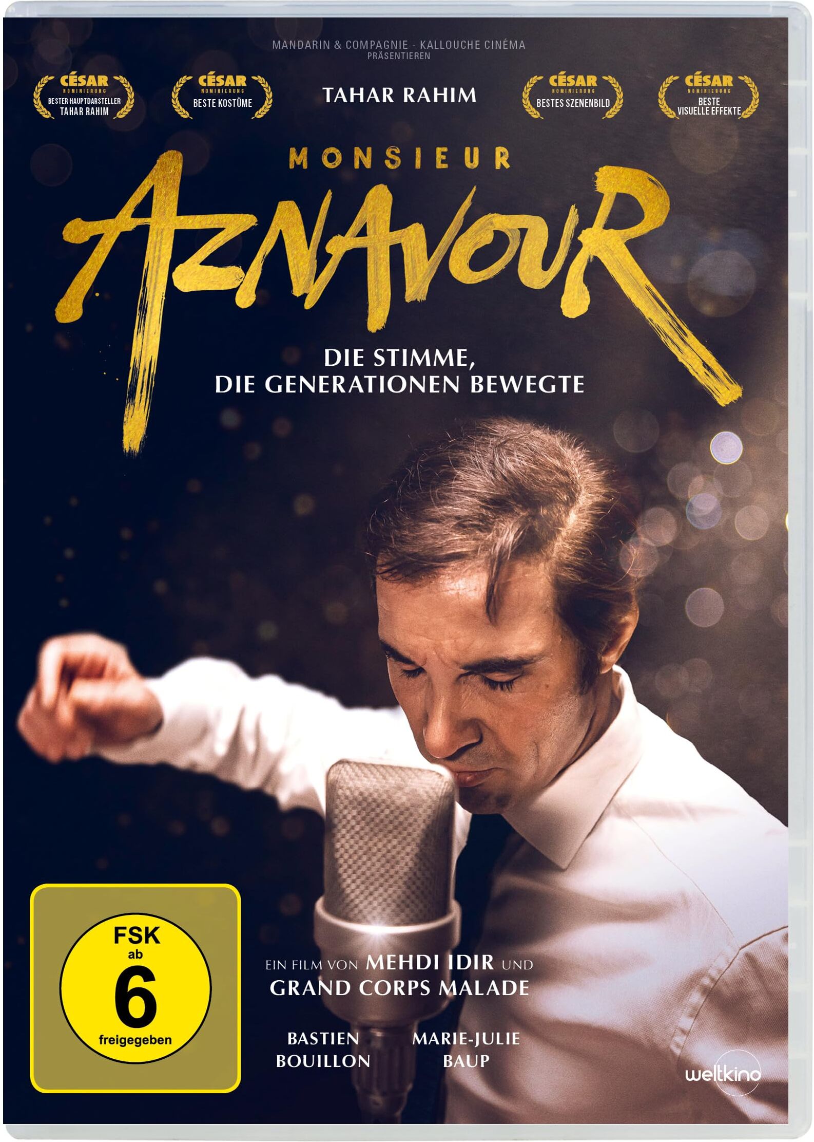 Mehdi Idir - Monsieur Aznavour - Preis vom 02.10.2026 23:42:20 h