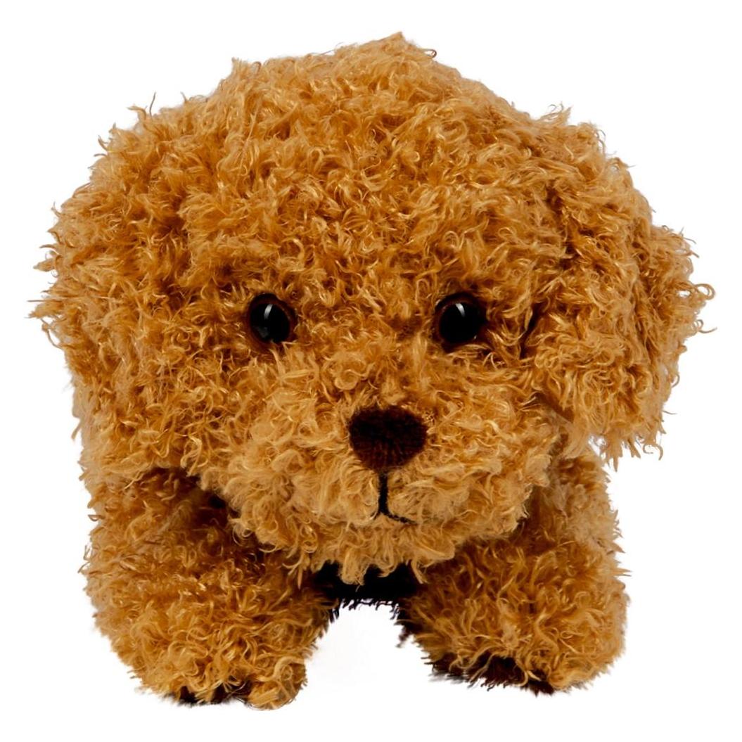 Coppenrath Kuschelhund Pudel Sammy (26cm) (26 cm) (63956195)