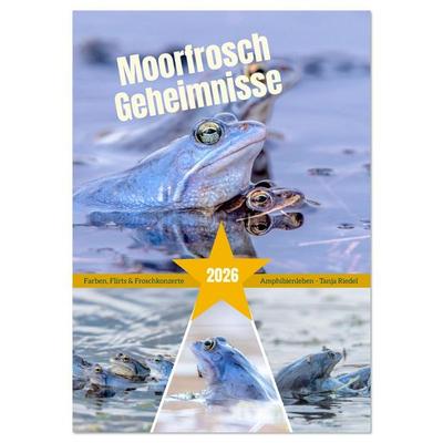 Moorfrosch Geheimnisse – Farben, Flirts & Froschkonzerte - Tanja Riedel (Wandkalender 2026 DIN A4 hoch), CALVENDO Monatskalender