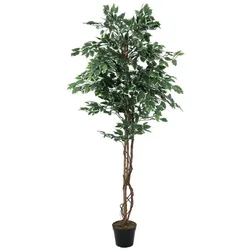 EUROPALMS Silberficus-Benjamini, Kunstpflanze, 180cm